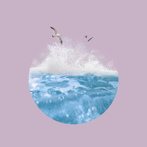 欧美爱爱小视频
